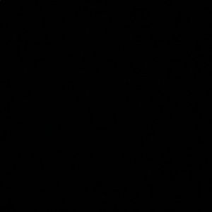 Meet your Posher, Evelina